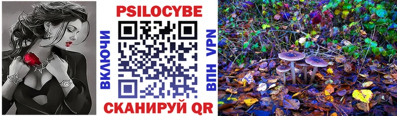Псилоцибиновые грибы мицелий  Муром 